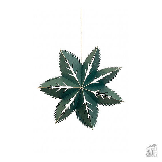 1311637.jpg