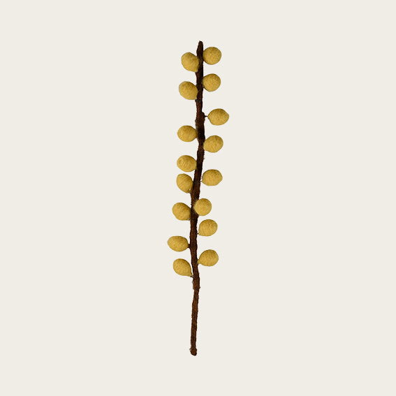 13304018