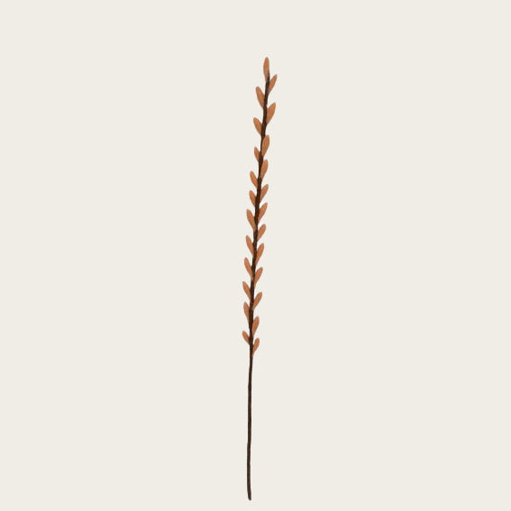 13304040.jpg