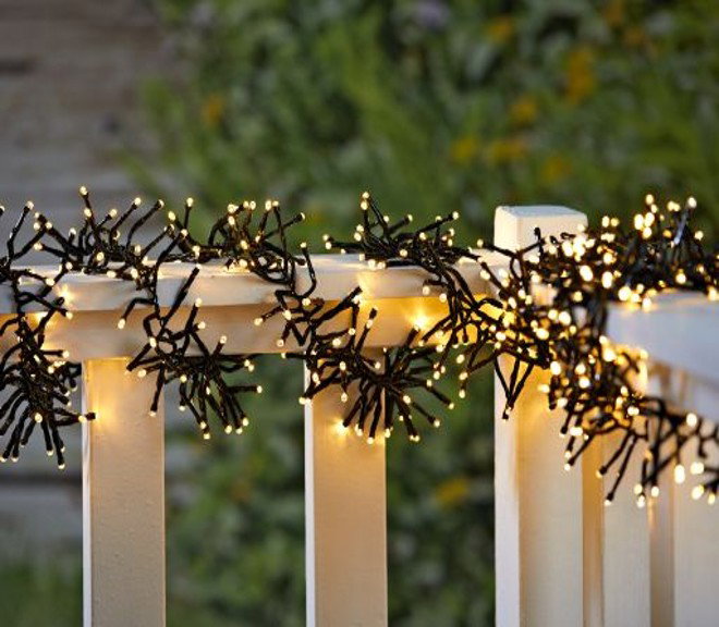 25241088.jpg