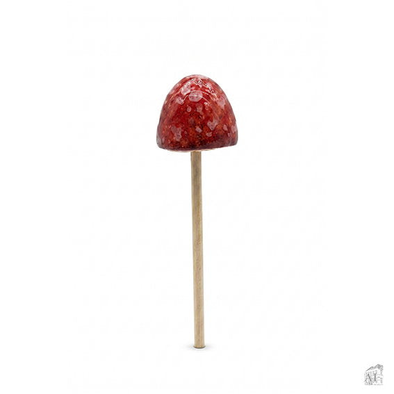 26701027.jpg