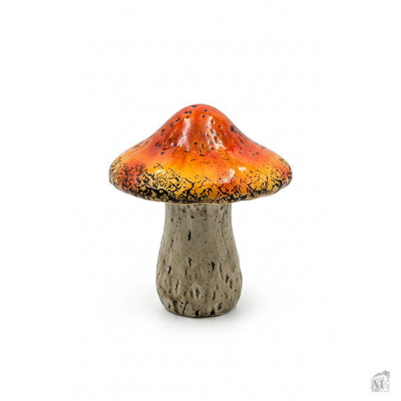 27551013.jpg