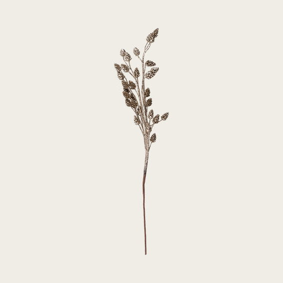 29421000.jpg