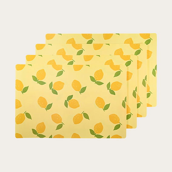 30004068