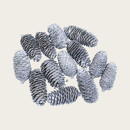 1141100_1