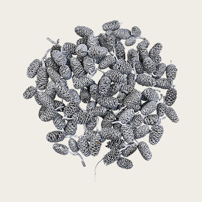 1141103_1
