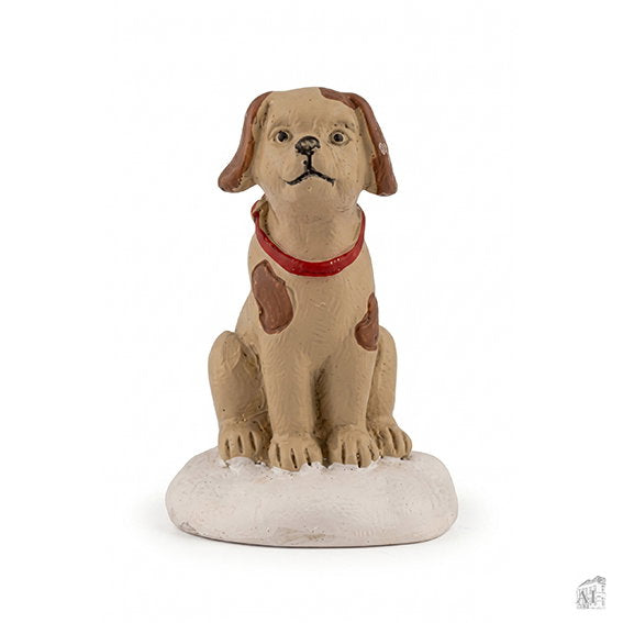19001031.jpg