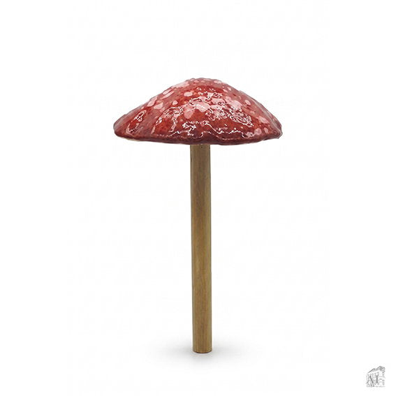 26701033.jpg