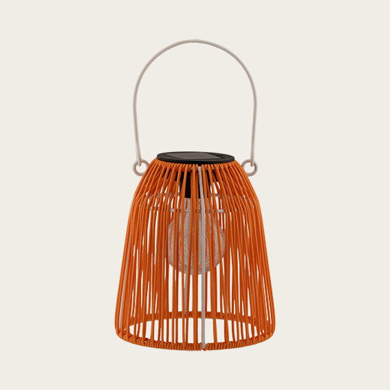 29024028.jpg