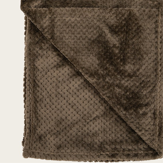 29704007_1.jpg